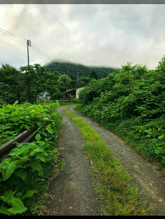 假期里，這些好地