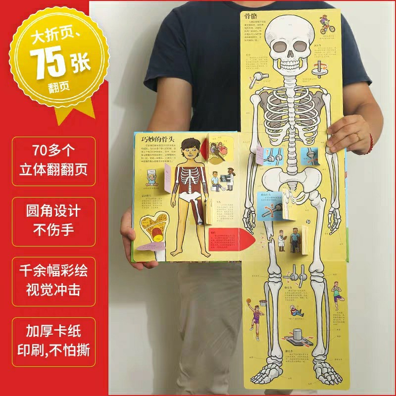 4歲的男孩適合看