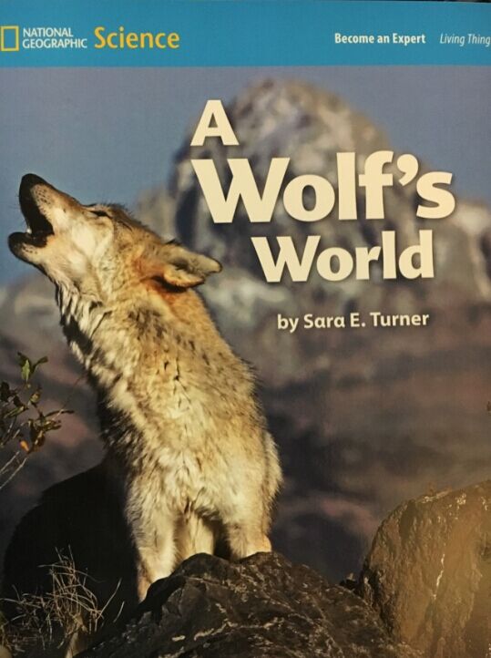 Become An Expert A Wolf's World