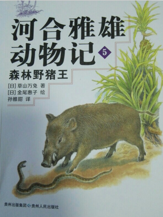 河合雅雄動物記 5