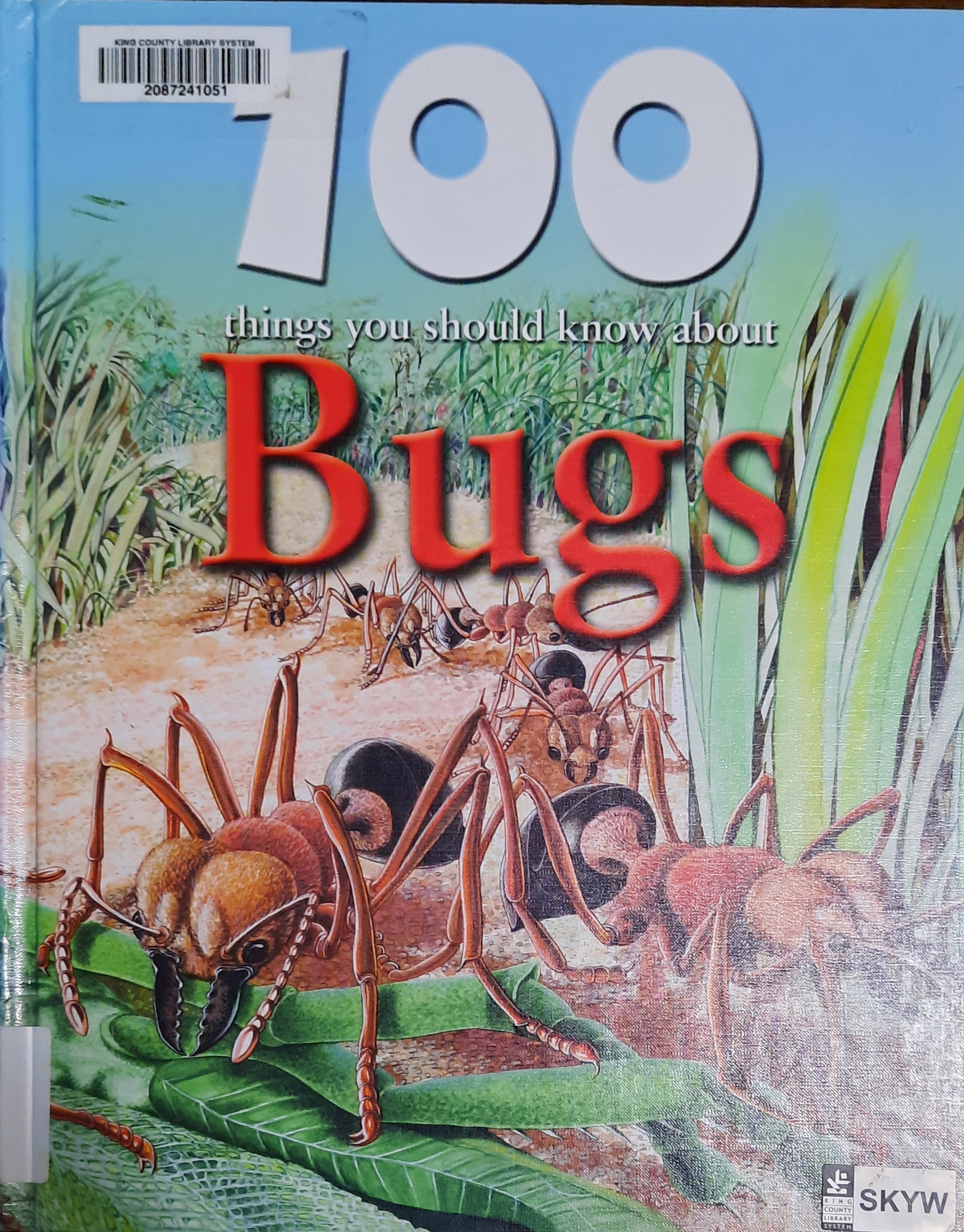 100 things you should know about Bugs