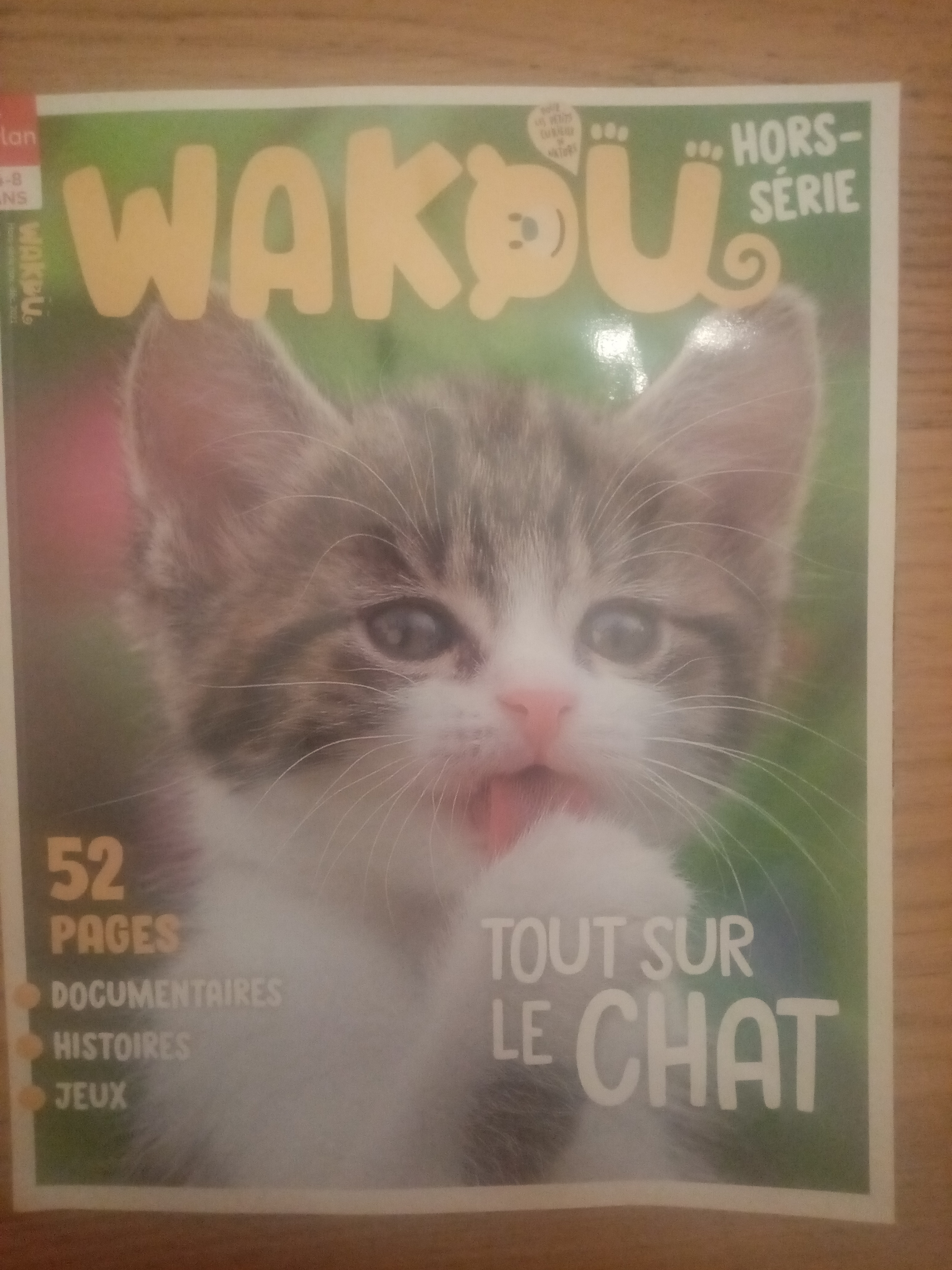 tout sur le chat