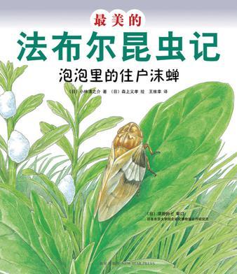 最美的法布爾昆蟲(chóng)記：泡泡里的住戶沫蟬