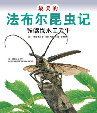 最美的法布爾昆蟲(chóng)記：鐵嘴伐木工天牛