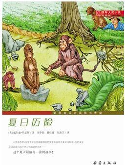 國(guó)際大獎(jiǎng)小說·升級(jí)版: 夏日歷險(xiǎn)