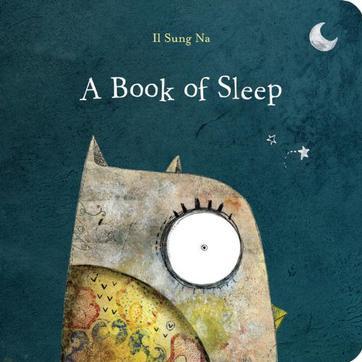 A Book of Sleep