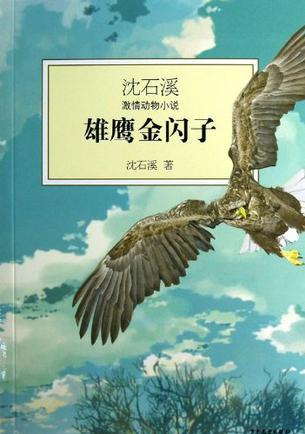 沈石溪激情動物小說: 雄鷹金閃子