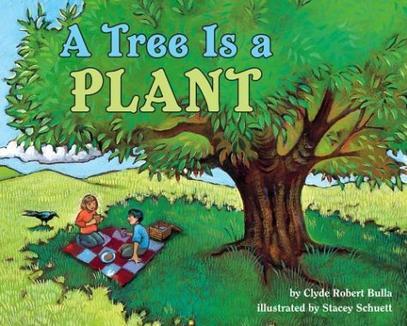 Let's-Read-and-Find-Out Science 1: A Tree Is a Plant