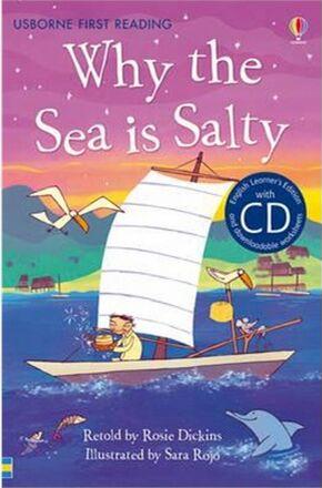 Why the Sea is Salty