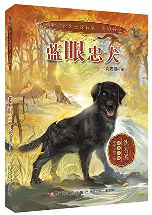 動物小說大王沈石溪·奇幻書系