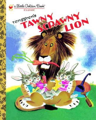 Tawny Scrawny Lion