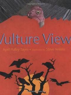 Vulture View