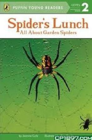 EXP Spider's Lunch PYR LV 2