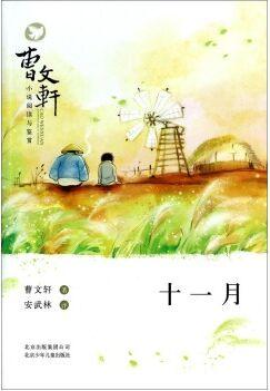 曹文軒小說(shuō)閱讀與鑒賞: 十一月 [11-14歲]