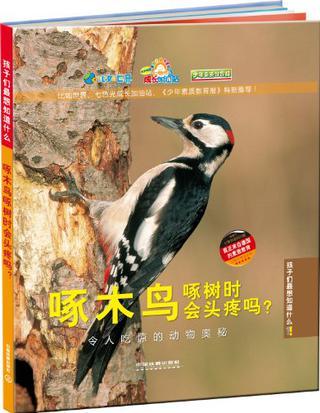 啄木鳥啄樹時(shí)會(huì)頭疼嗎?