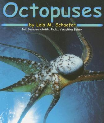 Octopuses