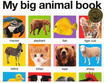 My Big Animal Book