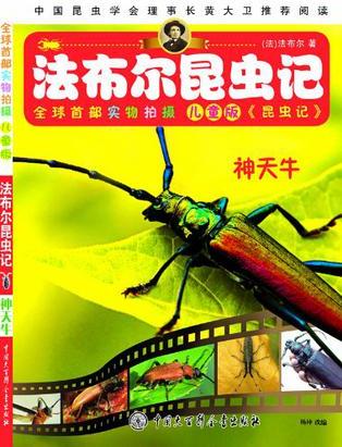 神天牛