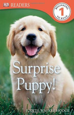 Surprise Puppy!