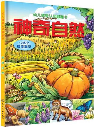 幼兒情景認(rèn)知翻翻書