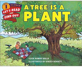 Let's-Read-and-Find-Out Science 1:A Tree Is a Plant