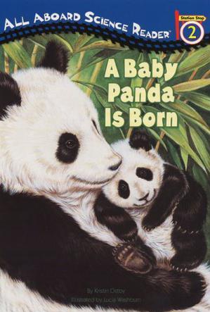 A Baby Panda Is Born