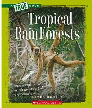 Tropical Rain Forests