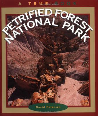 Petrified Forest National Park