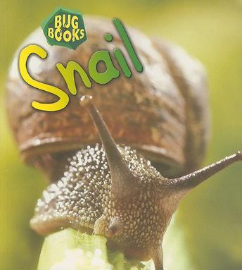 Snail