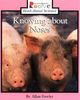 Knowing about Noses