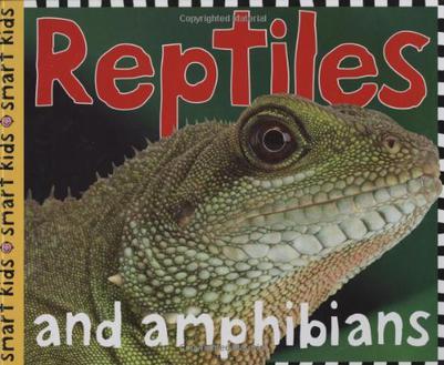 Reptiles and Amphibians