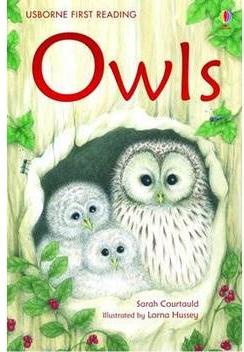 Owls