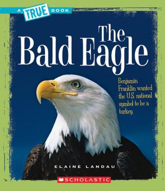 The Bald Eagle