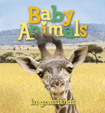 Baby Animals in Grasslands