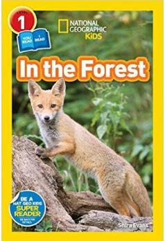 National Geographic Readers: In the Forest