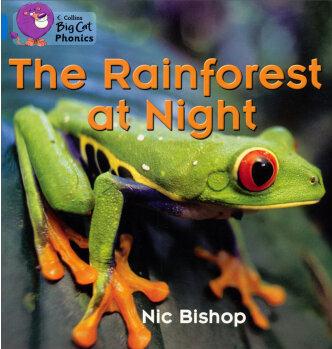 The Rainforest at Night(Collins Big Cat Phonics)