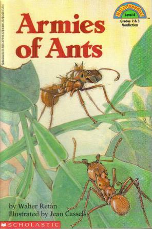 Armies of Ants