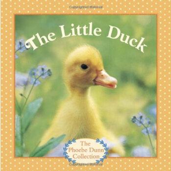 The Little Duck