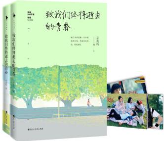 致我們終將逝去的青春.插圖(套裝共2冊)