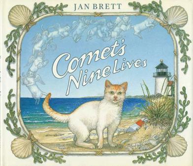 Comet's Nine Lives