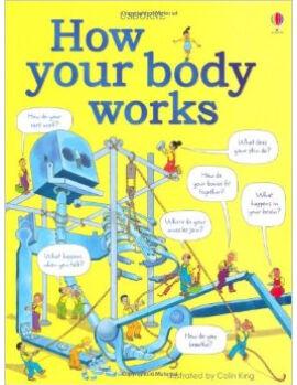 How Your Body Works