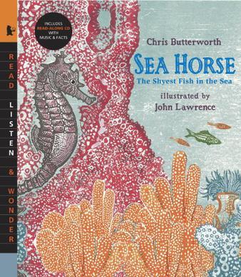 Sea Horse