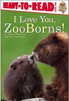 I Love You, ZooBorns! (Ready-to-Read, Level 1)