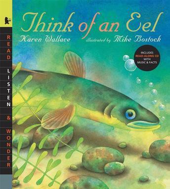 Think of an Eel with Audio