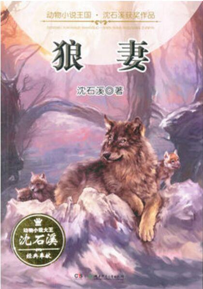 動(dòng)物小說(shuō)王國(guó)·沈石溪獲獎(jiǎng)作品·狼妻