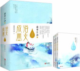 盛世江山之浴火成凰(上中下)