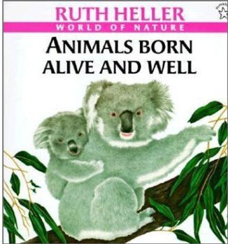 Animals Born Alive and Well (Picture Books)