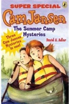 The Summer Camp Mysteries