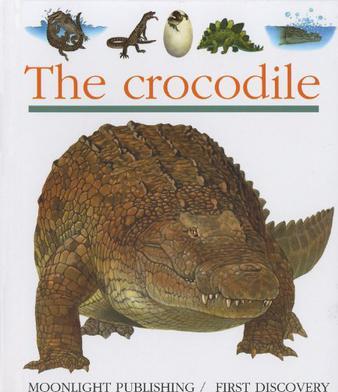 Crocodile