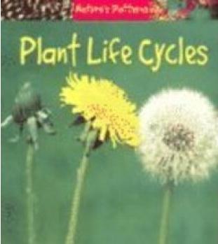 Plant Life Cycles